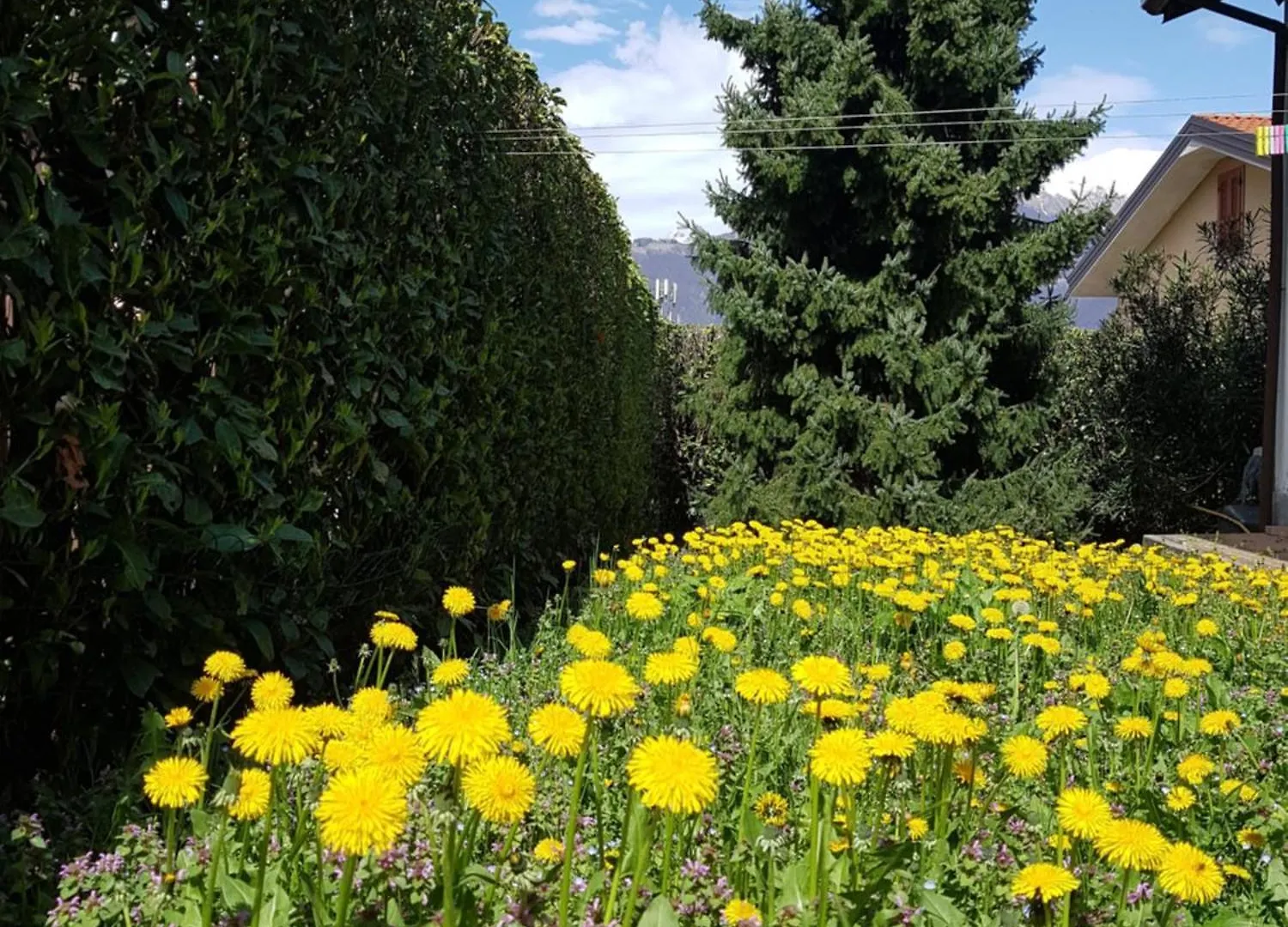 Villa Iris -Pet Friendly Stay - Garden - Private Parking- Bike Friendly Holiday House Colico 0*,  Italië